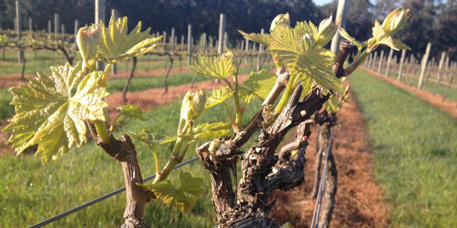 Richard.Fennessy banner