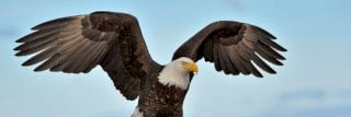 OGhab1980's profile banner image