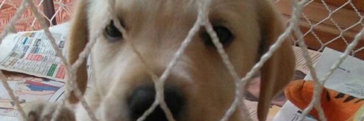 joaquin182xd's profile banner image