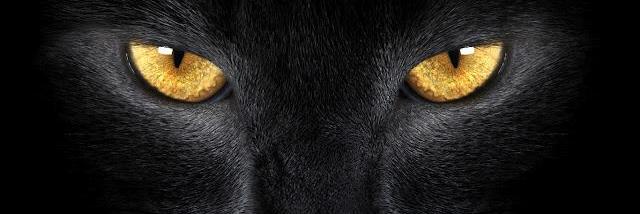 merrtssker's profile banner image