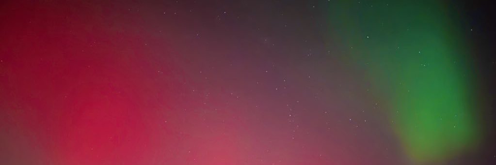 Miss_A_Bee_'s profile banner image