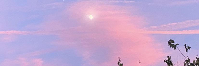 isagalind0's profile banner image