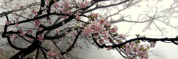 luadollzz Profile Banner