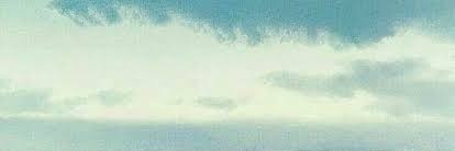 rayh banner