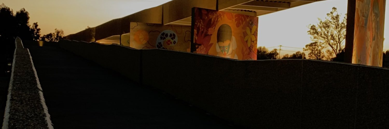 rodo banner