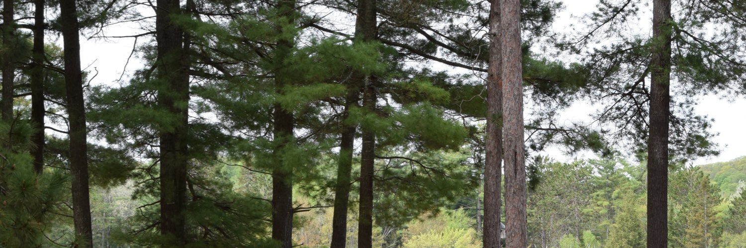 eburchat's profile banner image