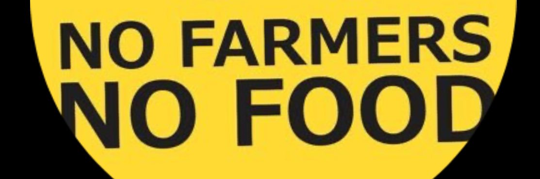 Rachie Pach 💚🤍💜 banner