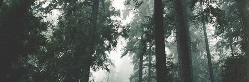 TylerTremps's profile banner image