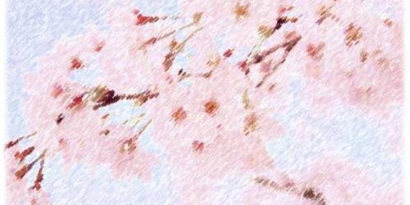 FabryNEXT's profile banner image