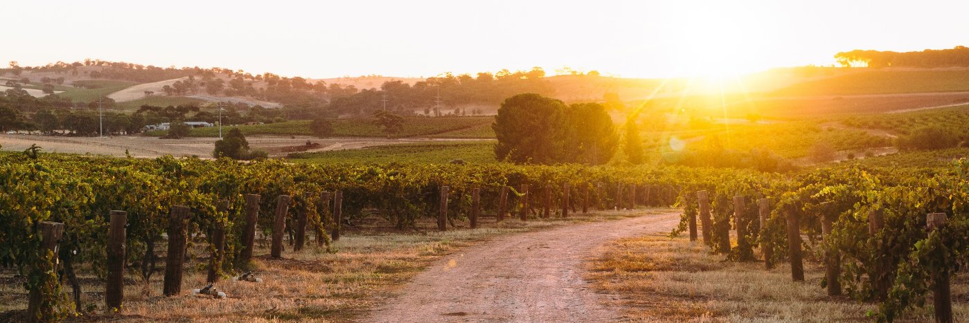 Peter Lehmann Wines banner