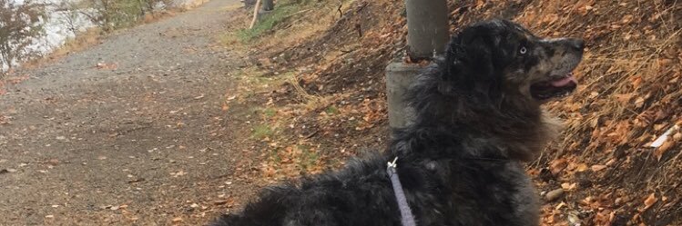 Sarahhhr32's profile banner image