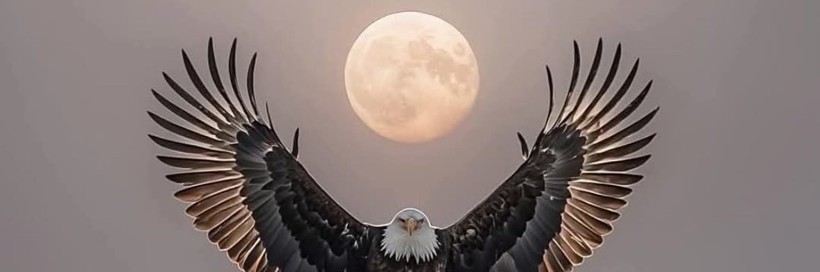 HMhmtgl's profile banner image