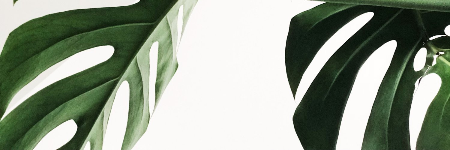 natshc87's profile banner image