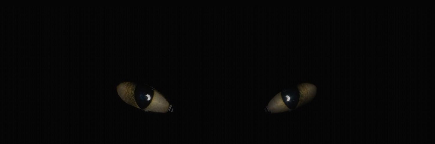 MFRastoz's profile banner image