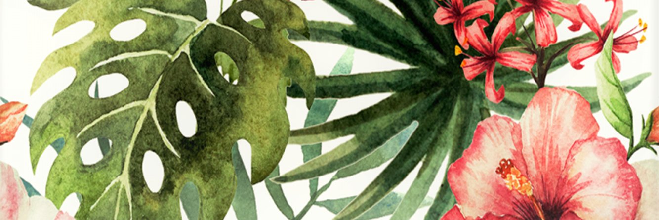 MaferOrtega's profile banner image