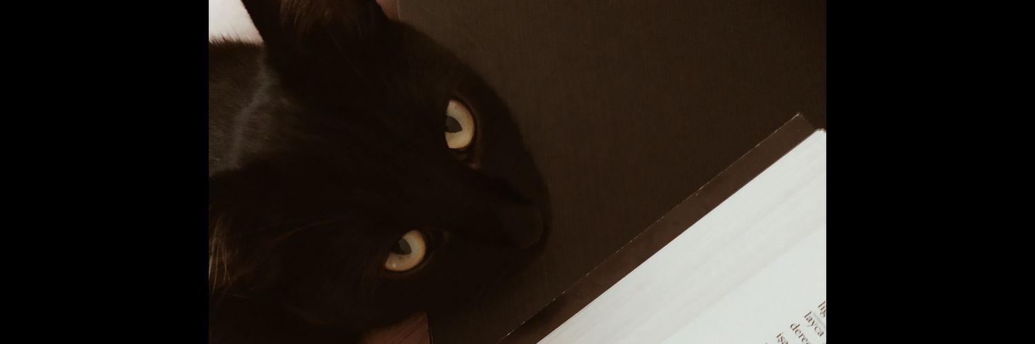 ec_kaya's profile banner image