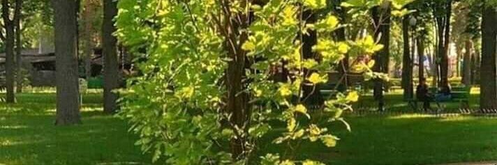 greecefvr's profile banner image