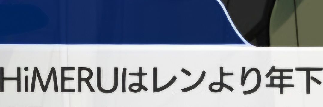 해파리🪼 banner