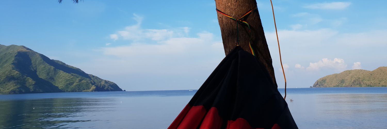 iggysmalls_'s profile banner image