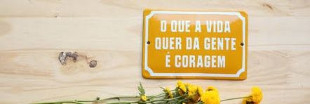 annaterraborges's profile banner image