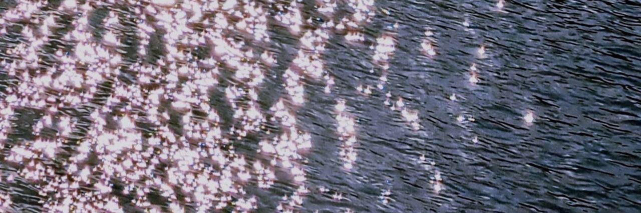 きばやし𓀤 banner