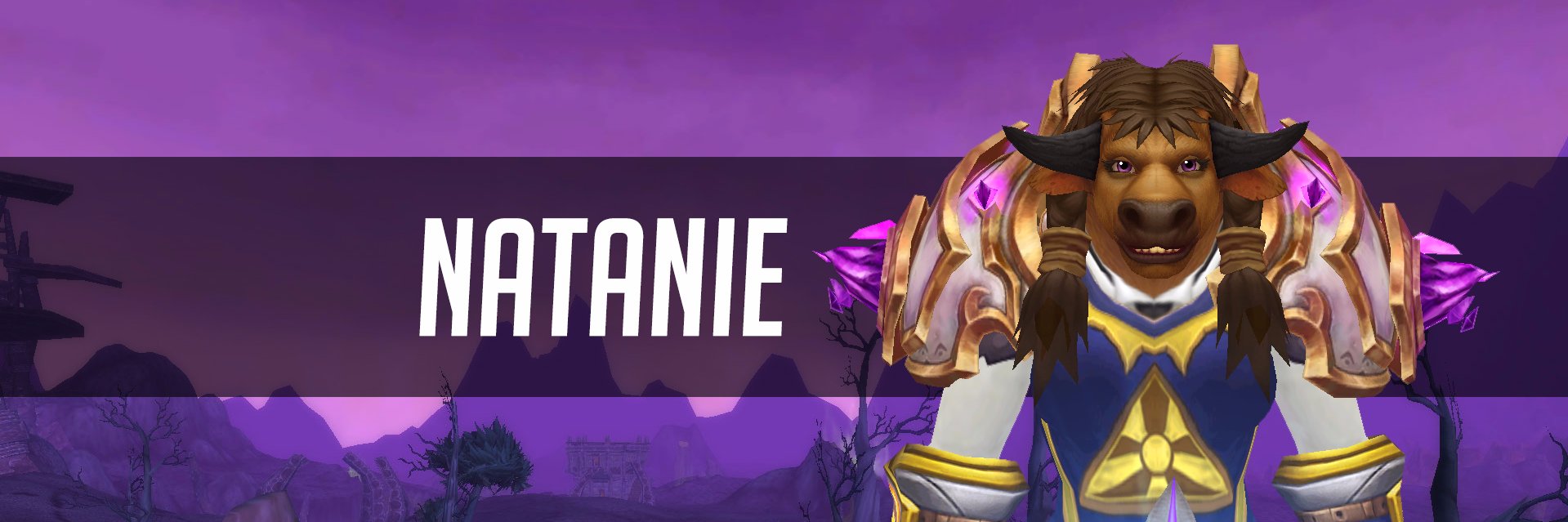 NataniePally's profile banner image
