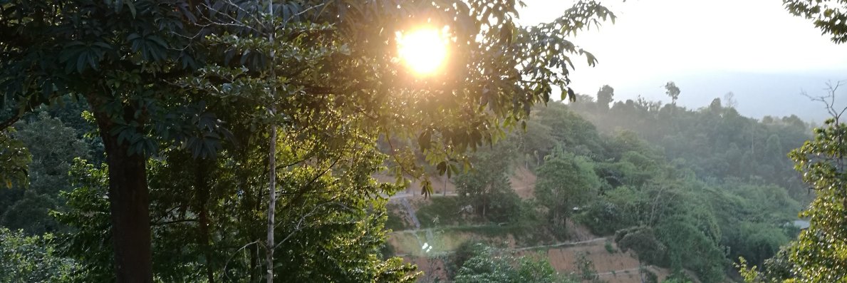 PeterChewSiHong's profile banner image