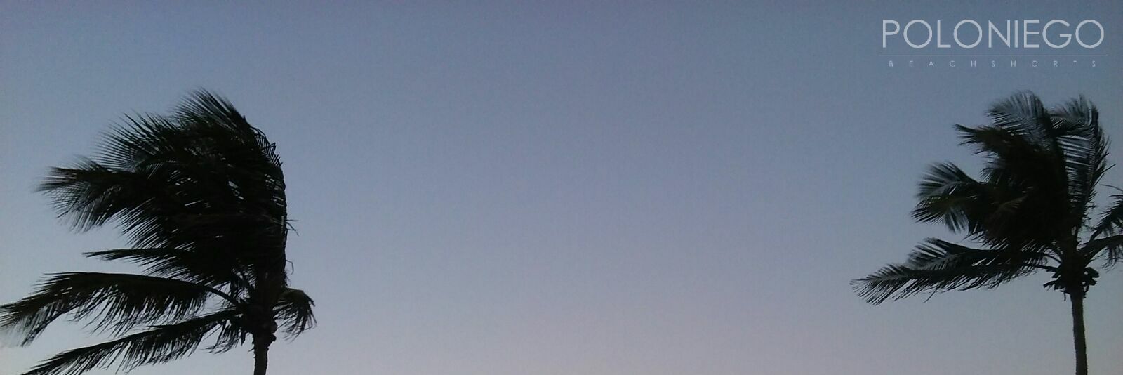 MPoloniego's profile banner image