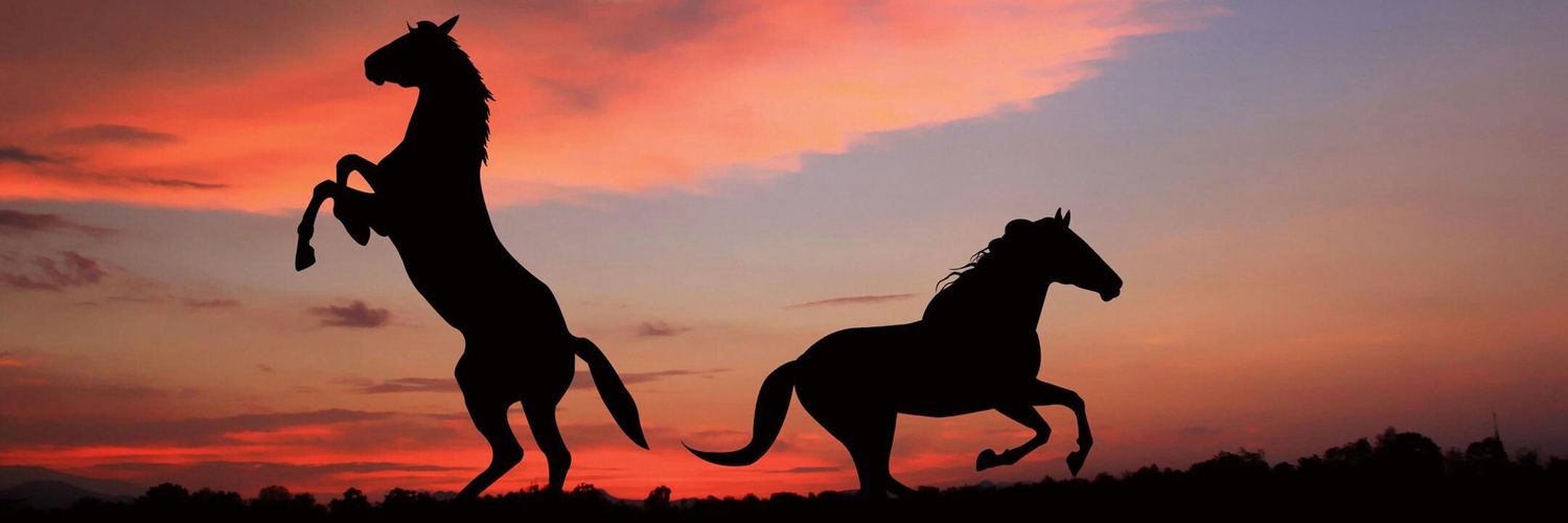 Redwana21's profile banner image