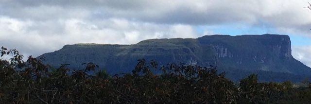 Giambattista La Forgia banner