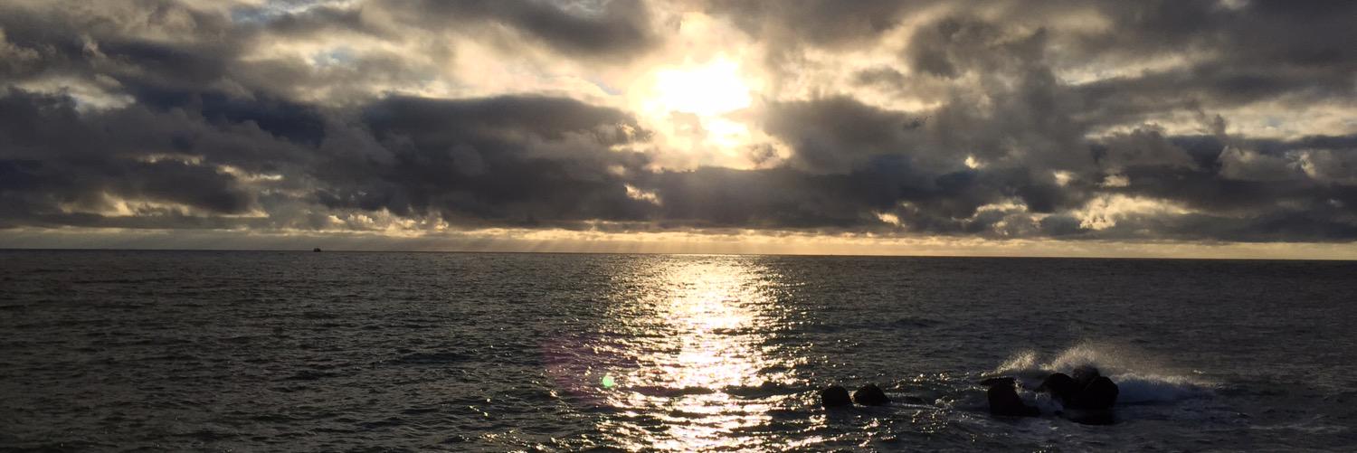 Auke van Veen banner