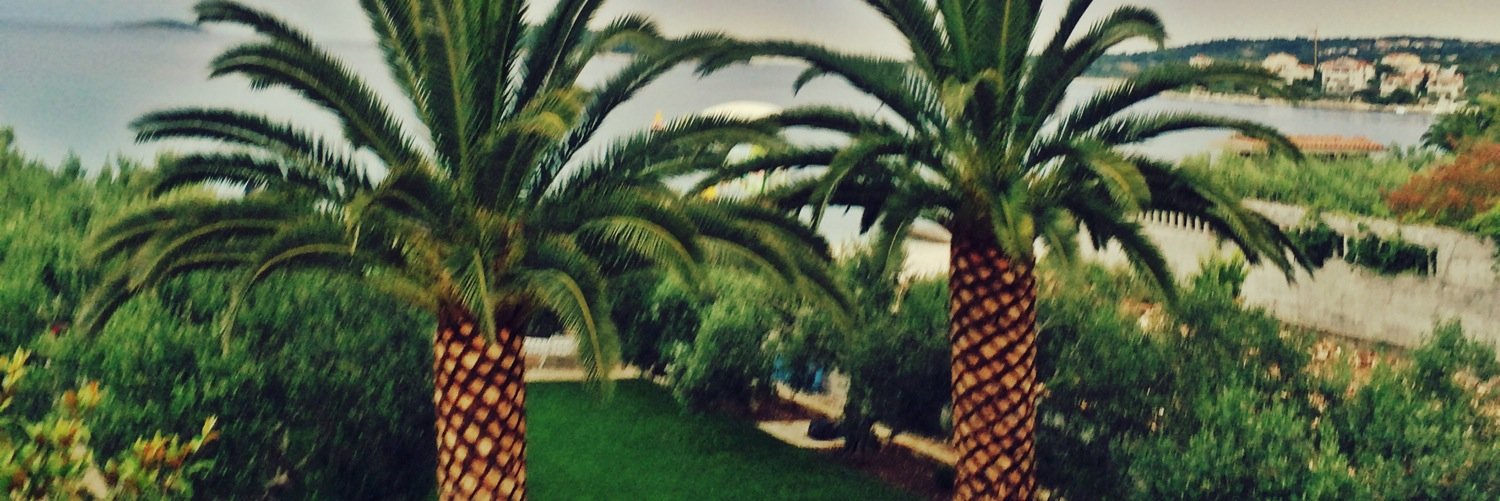 elsakaIlstrom's profile banner image