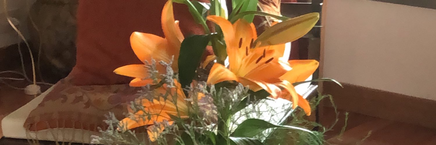 cintia_aranda's profile banner image