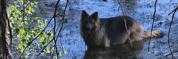 richard_cann1 Profile Banner