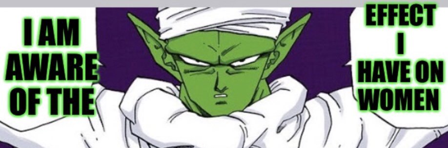 shirepower's profile banner image