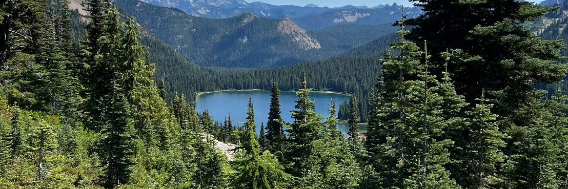 Ethan Green🇺🇸 banner