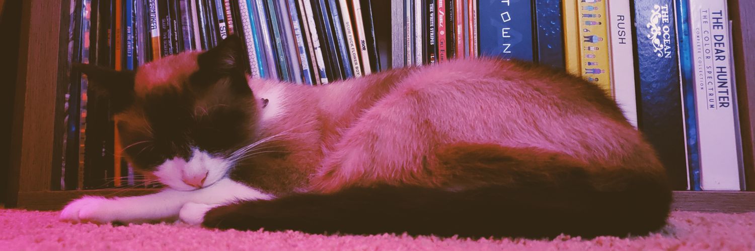 Amateur Vinyl Guy™ banner