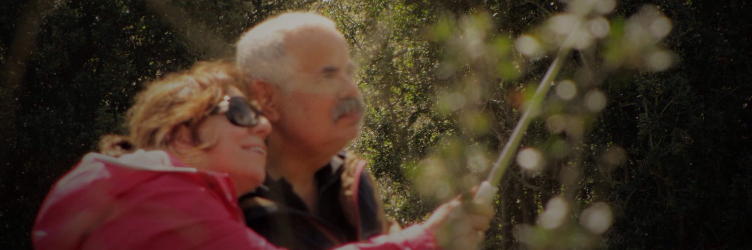Dlkdmrr's profile banner image