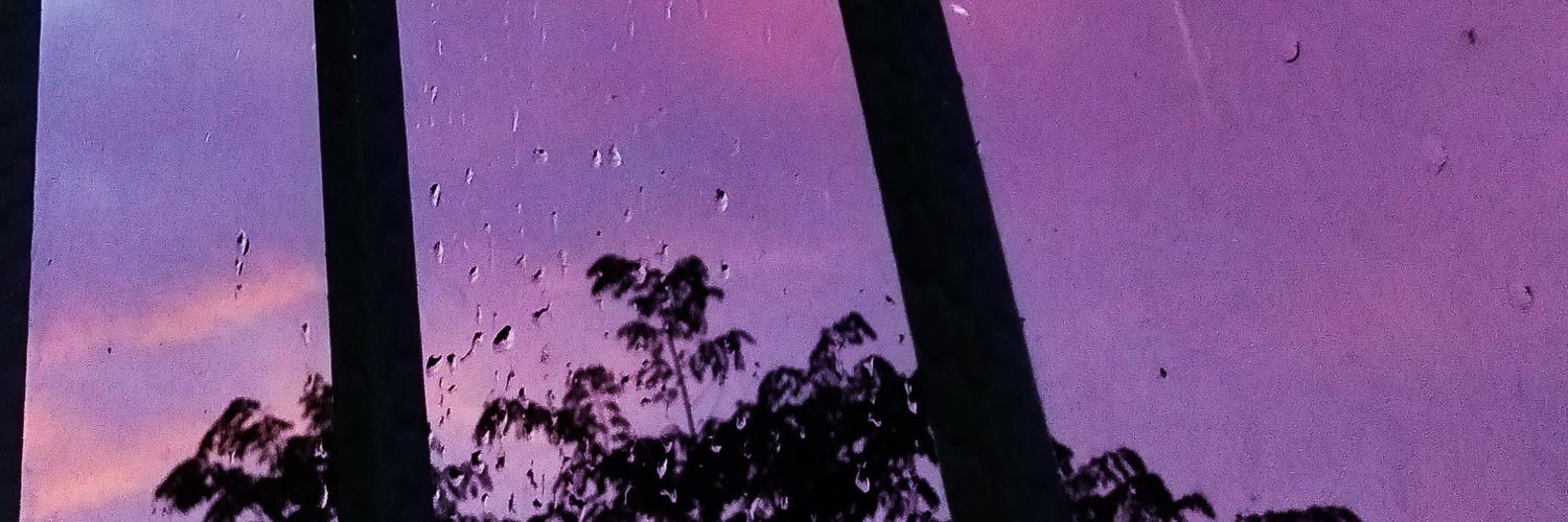 scheimaamelia1's profile banner image