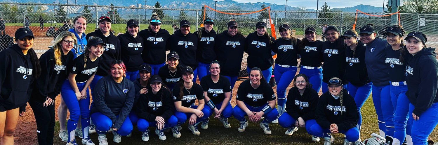 York University Softball banner