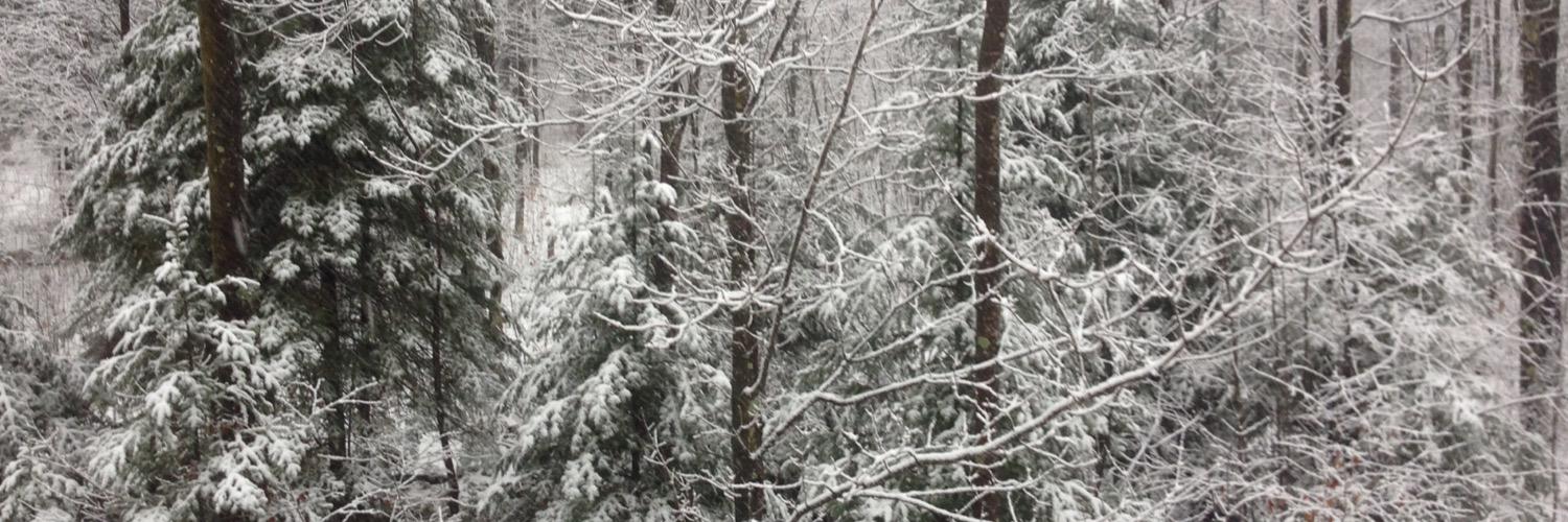 Jeagermonsta's profile banner image