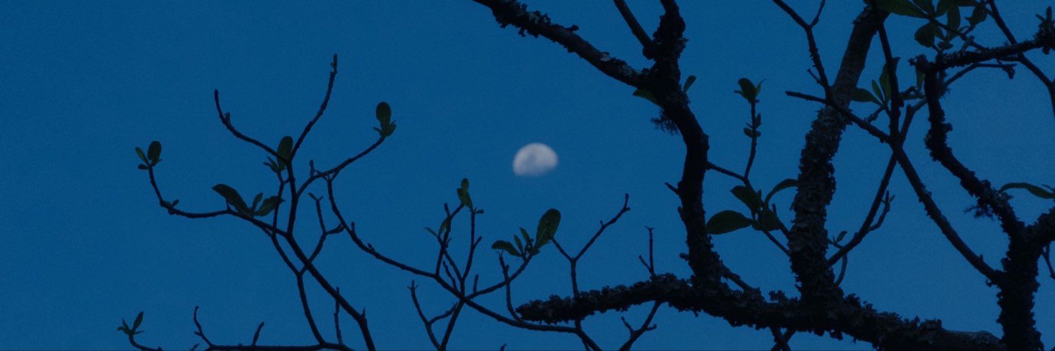 Lauravinh's profile banner image
