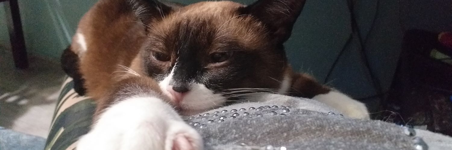 Виктория banner