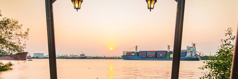 maiara fernanda banner