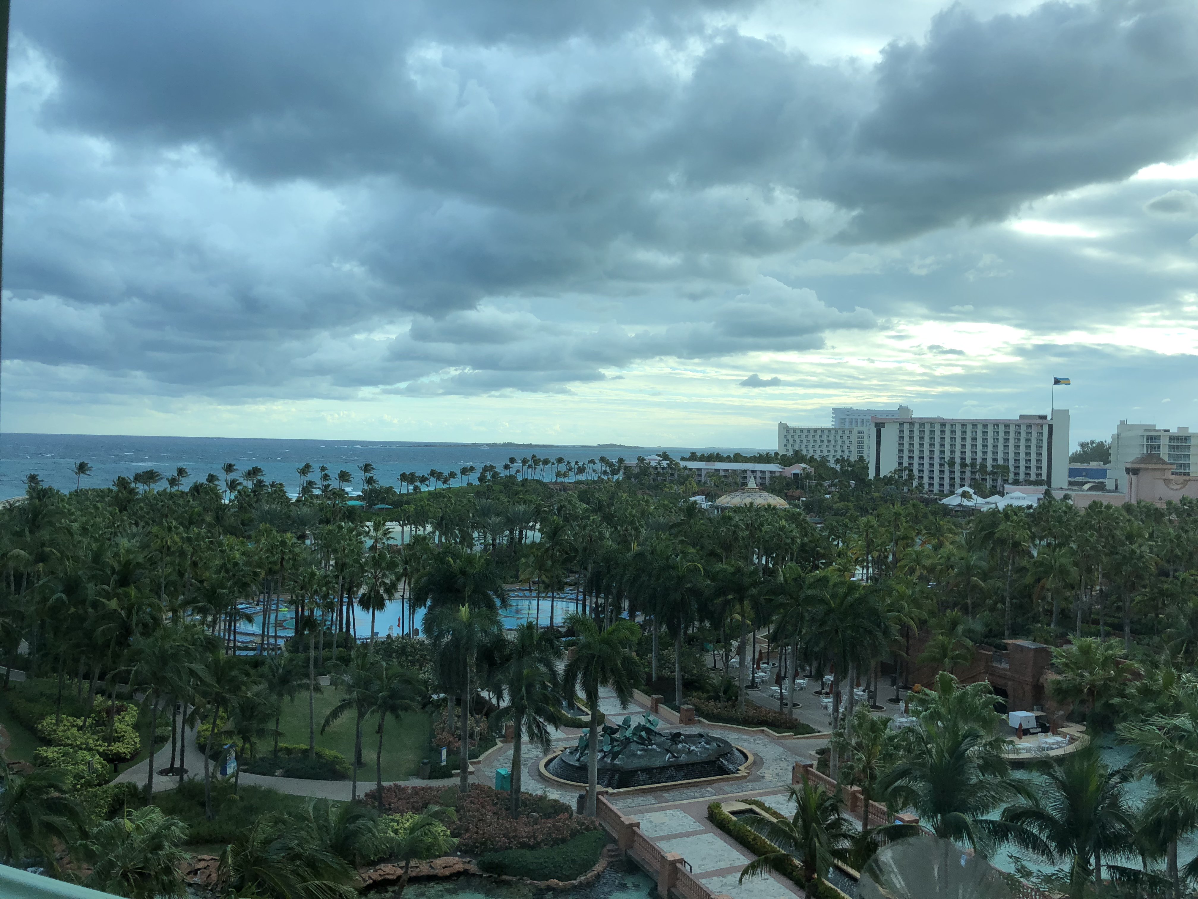 Daniel Rezaei banner