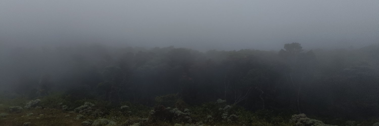 mhbbism's profile banner image