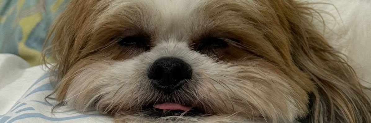 JuanVF22's profile banner image
