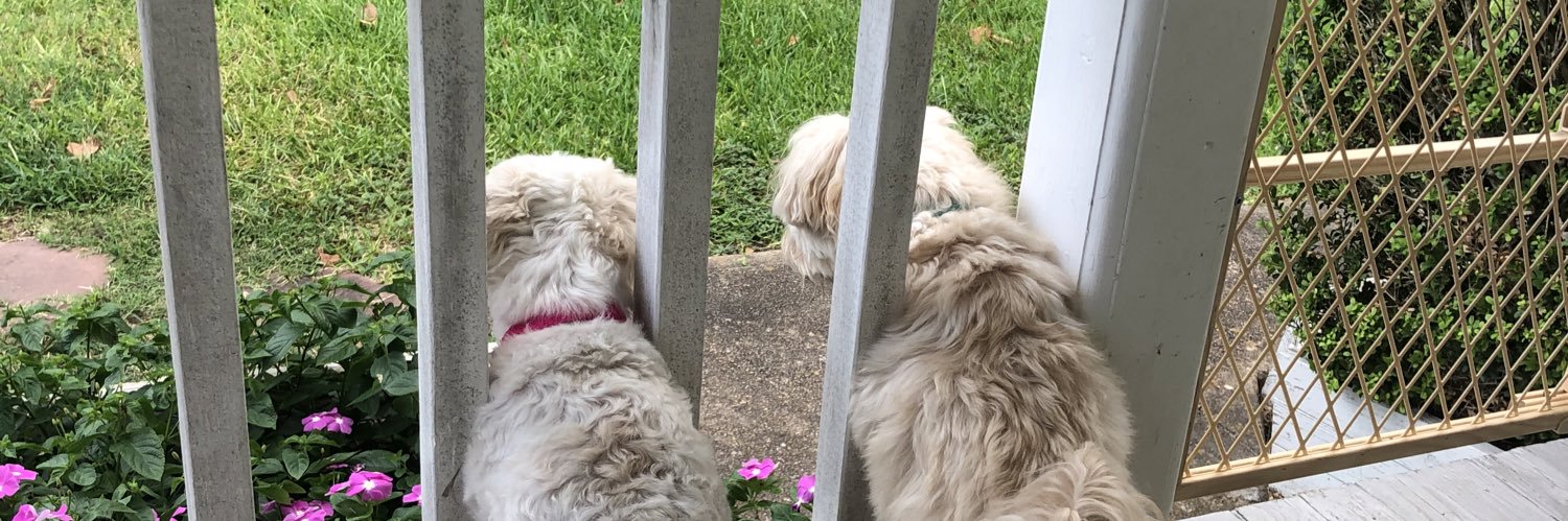 Kristin Dolan banner