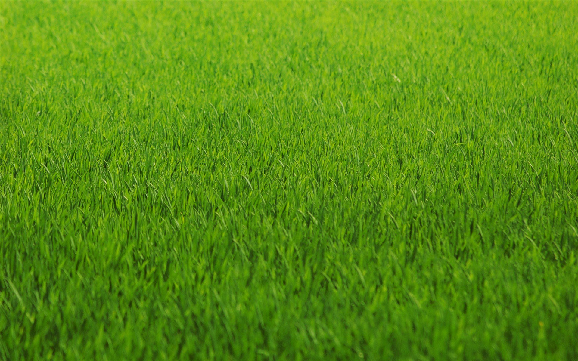 k0rki09's profile banner image