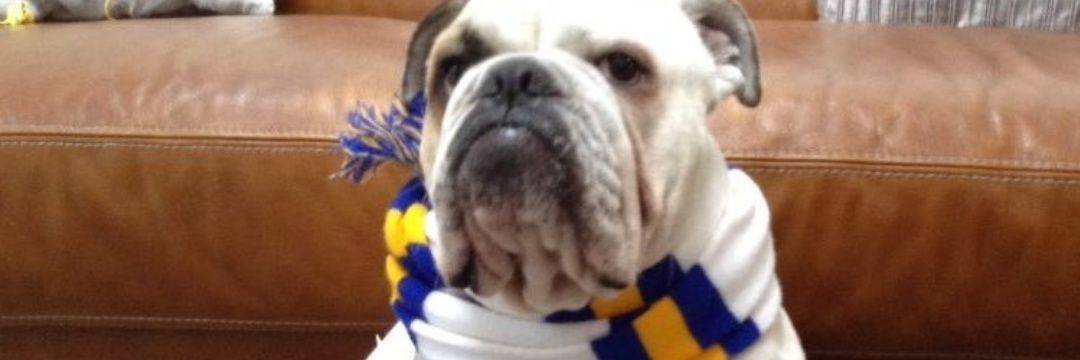 Chris Radford banner